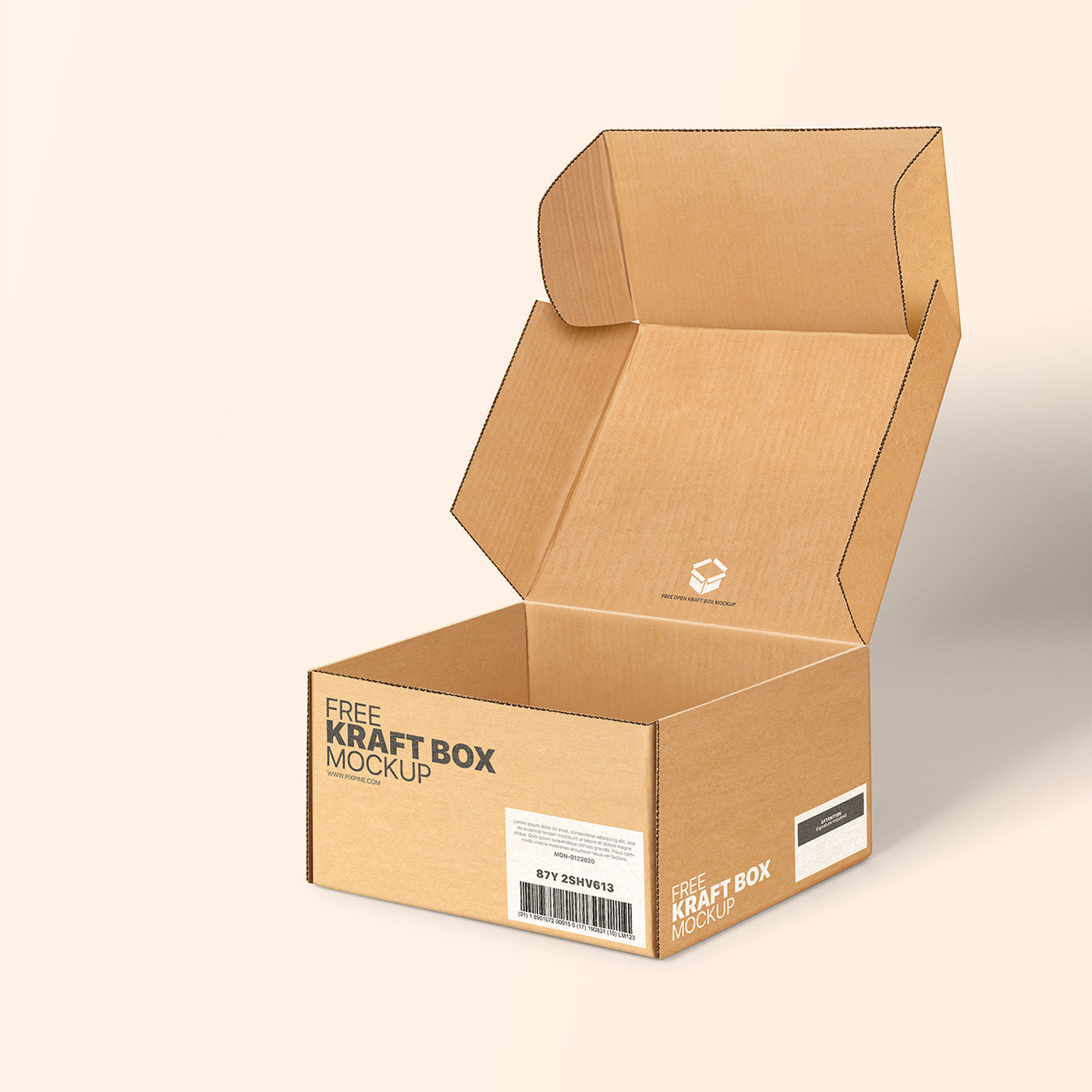 Custom Kraft Mailer Boxes